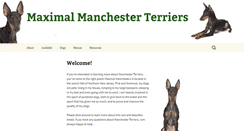 Desktop Screenshot of maximaldog.com