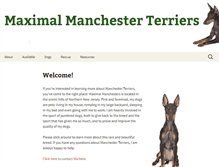 Tablet Screenshot of maximaldog.com